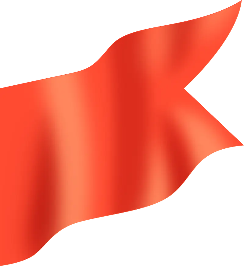 Klaviyo flag
