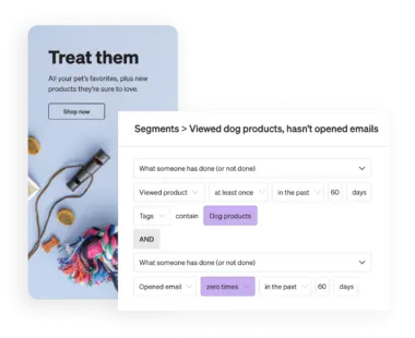 Email marketing segmentation of audience in Klaviyo platform