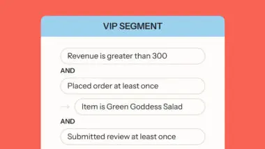 VIP segment criteria: Revenue over 300, placed order at least once, item is Green Goddess Salad, submitted review at least once.