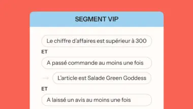 Segment VIP avec critères : chiffre d'affaires supérieur à 300, commande passée au moins une fois, article Salade Green Goddess, avis laissé.