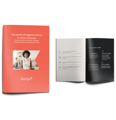Klaviyo book example of The power of segmentation to drive revenue